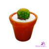 Clay Pot