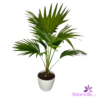 White Plastic Pot