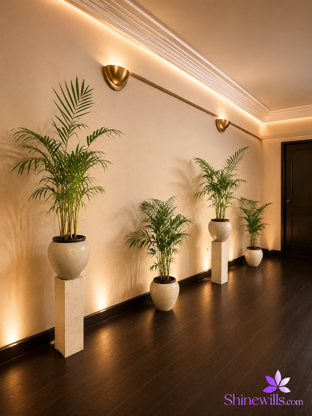 Cane Palm (Areca Palm) - Image 3