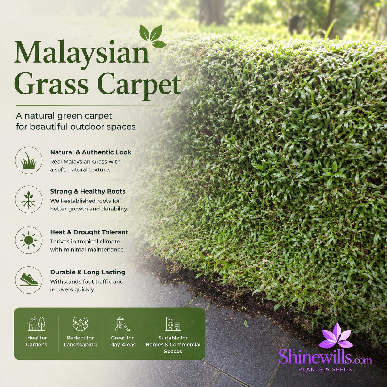 Malaysian Grass Carpet – 2 ft × 5 ft Roll - Image 2