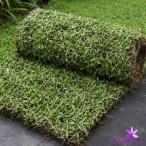 Malaysian Grass Carpet – 2 ft × 5 ft Roll